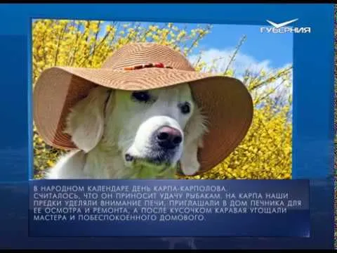 Календарь губернии от 08.06.2018