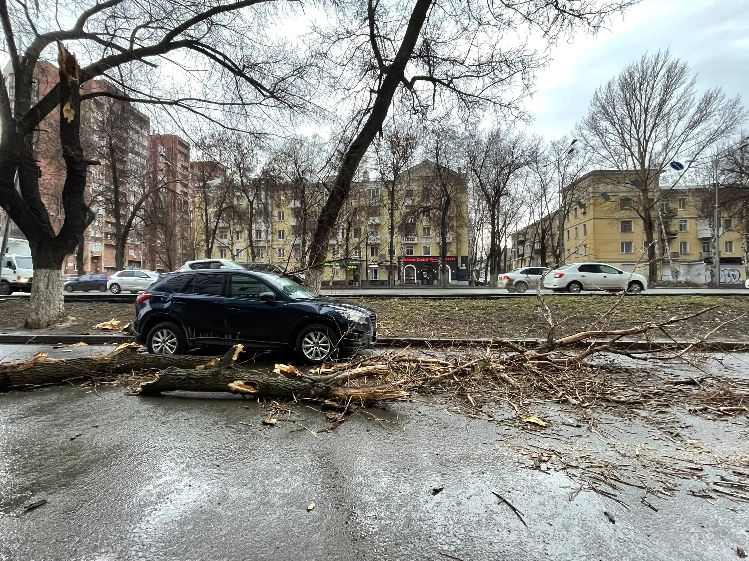 Ночной ветер в Самаре повалил обломки дерева на машину | СОВА - главные  новости Самары