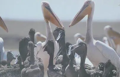 Название статьи