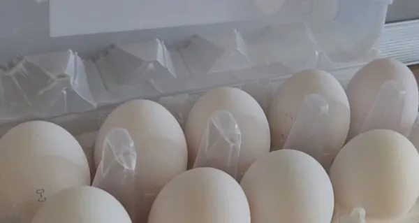 В Роспотребнадзоре рассказали, как выбрать яйца к Пасхе