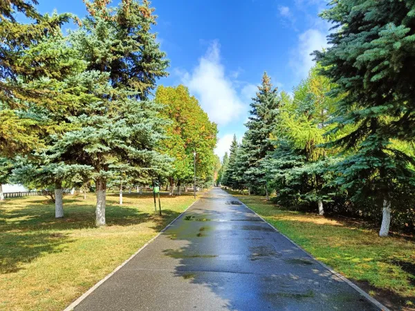 Синоптики рассказали, как долго в Самаре не будет дождей