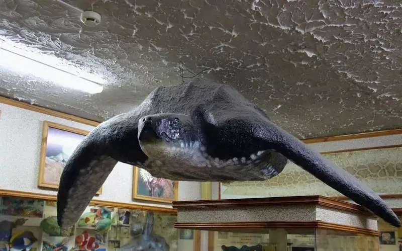 Школьники Безенчукского района познакомились с животным миром Самарской области 