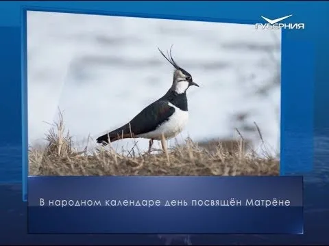 День Матрены. Календарь губернии от 9 апреля