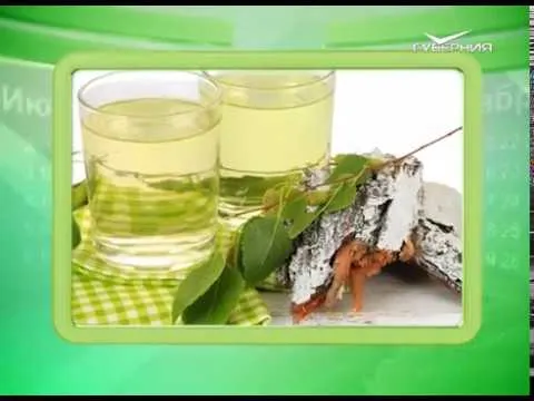 Календарь губернии 11.04.2017