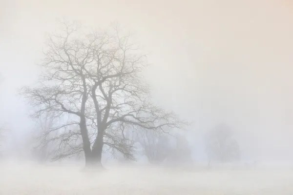 В Самарской области 16 февраля объявили желтый уровень опасности из-за тумана