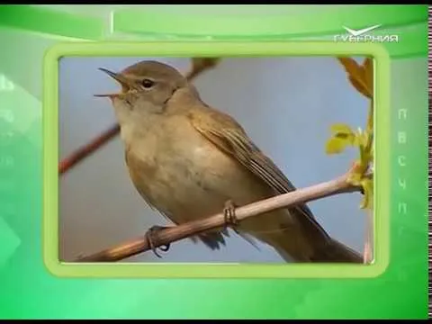 Календарь губернии 09.03.2017