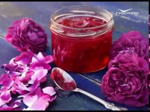 Тайна самого романтичного цветка. Утро Губернии от 03.11.2017