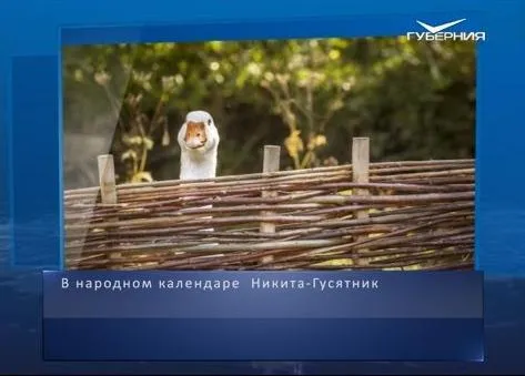Никита-Гусятник. Календарь губернии от 28 сентября