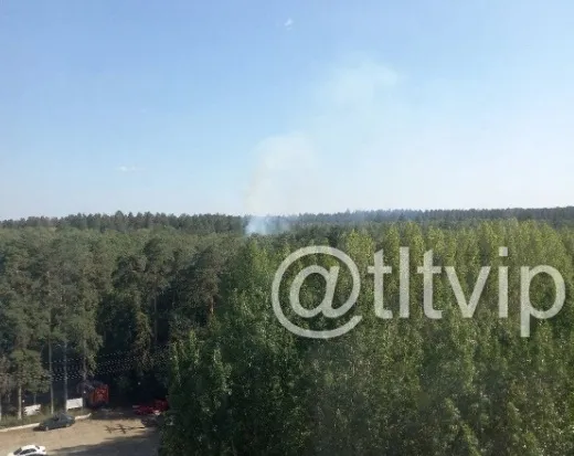 В Тольятти 15 июля горел лес на площади 840 кв. м