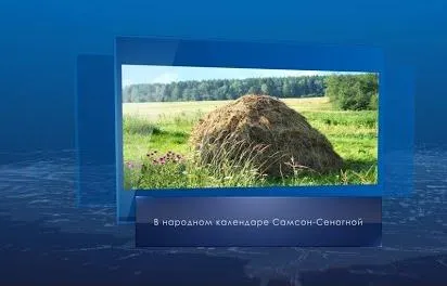 Самсон-Сеногной. Календарь губернии от 10 июля