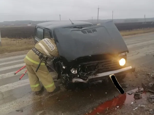 Утром 24 ноября в Самарской области на трассе лоб в лоб столкнулись "Нива" и "Гранта"