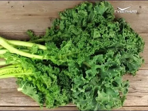 Необычные блюда из капусты. Утро Губернии