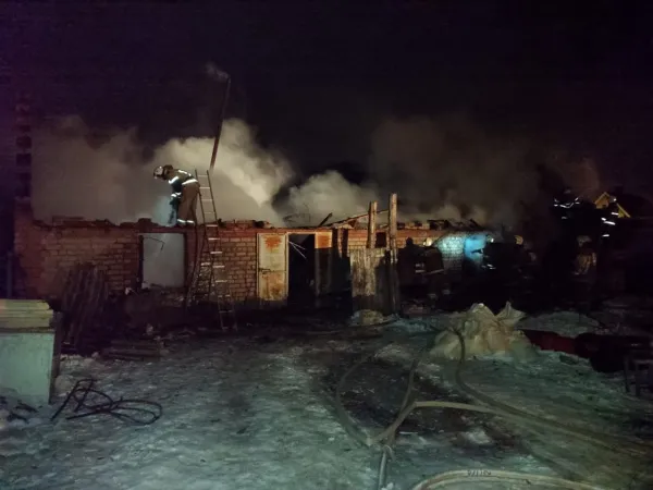 В Самарской области ночью при пожаре погибли 13 домашних животных