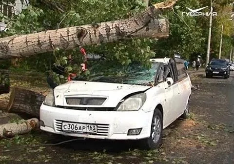 Последствия урагана в Самарской области. Новости Губернии от 19 сентября