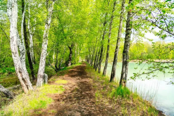 Иммунолог Екатерина Чернышова рассказала, как справиться с весенней аллергией