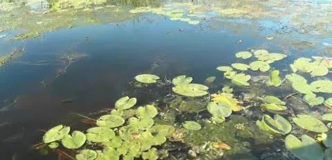 Акватория Сызрани. Рыбацкое счастье