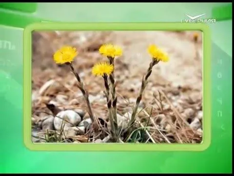 Календарь губернии 10.04.2016