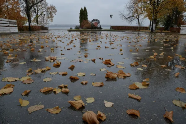 В конце сентября жителей Самарской области ожидает неуютная погода