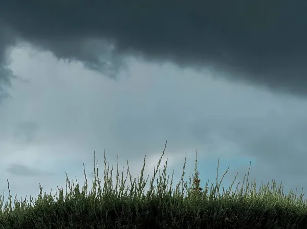 В Самарской области 2 сентября ожидается гроза, шквалистый ветер и жара