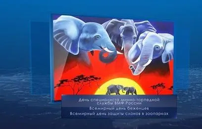 День защиты слонов в зоопарках. Календарь губернии от 20 июня