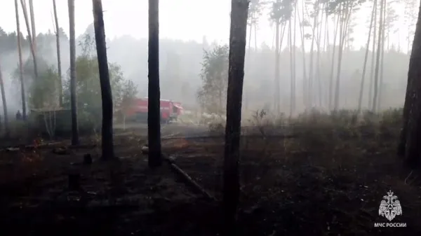 В Самаре огонь уничтожил 1,6 гектара Задельненского лесничества