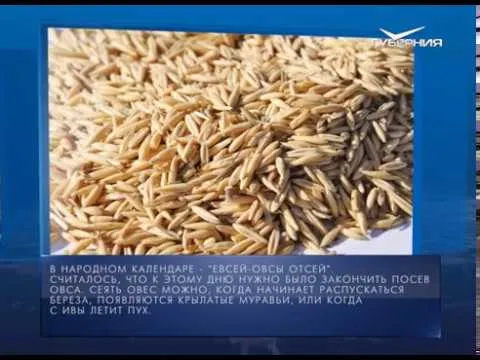 Календарь губернии от 07.05.2018