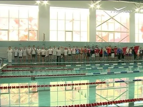 Кубок совета ректоров по плаванию. Новости Губернии от 25 января