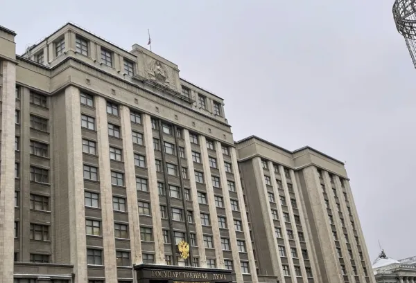 В Госдуме одобрили законопроект о запрете публичной пропаганды чайлдфри