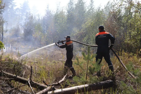 В Нижегородской области около 900 человек тушат огромный лесной пожар