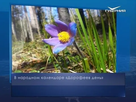 Дорофеев день. Календарь губернии от 18 июня
