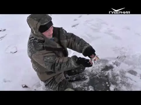 Ловим окуня. Рыбацкое счастье