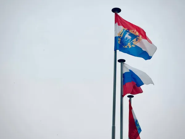 Романа Некрасова назначили заместителем министра сельского хозяйства России