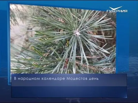 Модестов день. Календарь губернии от 31 декабря