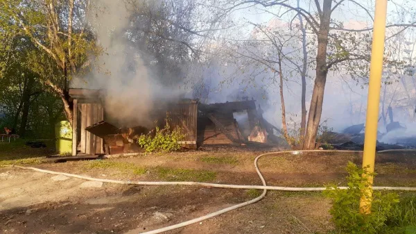 Могли погибнуть животные: появились фото с места пожара на Советской Армии в Самаре