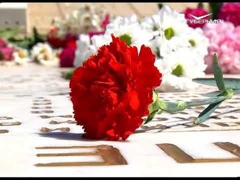 Новости Губернии от 22.06.2018