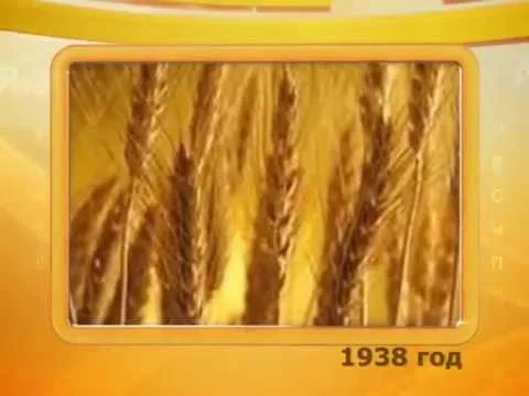 Календарь губернии 18.10.2014 