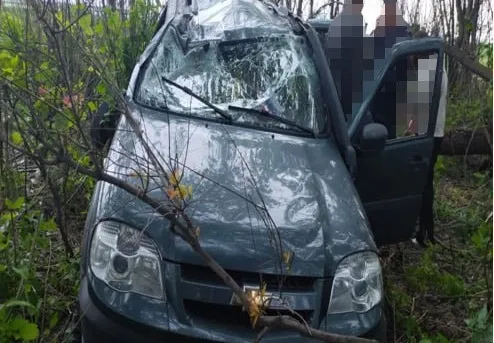В Самарской области женщина улетела на внедорожнике с трассы в кусты