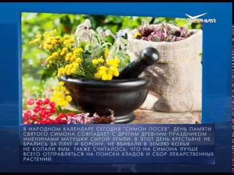 Календарь губернии от 23.05.2018