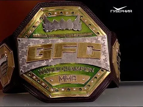 Владимир Селиверстов vs Олег Оленичев. О чем говорят