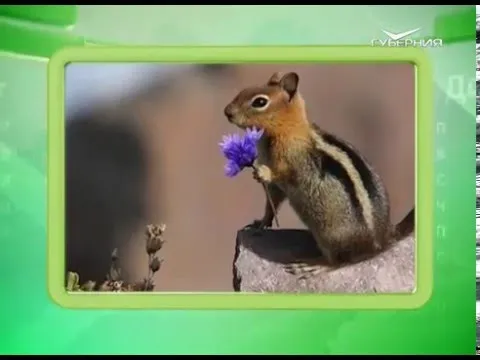 Календарь губернии 21.04.2016