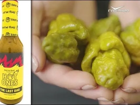 Как острые соусы влияют на здоровье. Утро Губернии