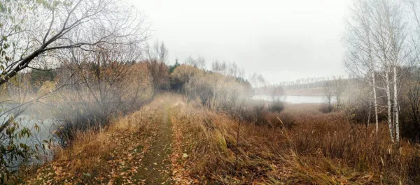 В Самарской области 2 декабря будет пасмурно и туманно