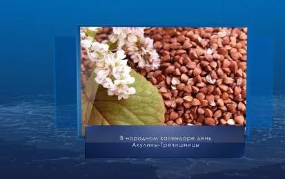 Акулина-Гречишница. Календарь губернии от 26 июня