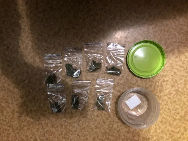 Полицейские рассказали об итогах акции "Сообщи, где торгуют смертью"