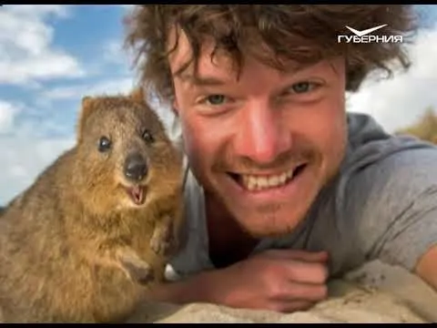 Утро Губернии 18.07.2017. Покупки в магазинах