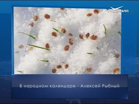 Алексей Рыбный. Календарь губернии от 25 февраля