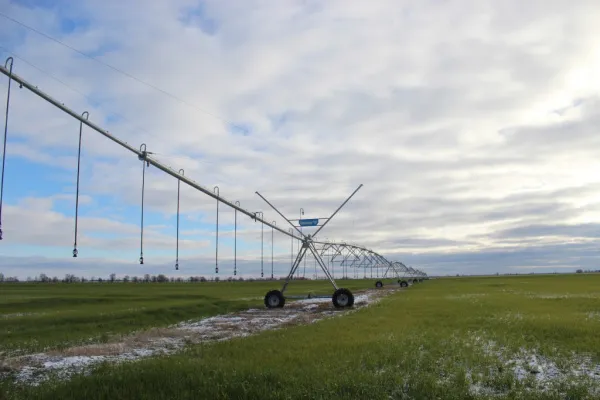 Оросительные системы укрепили экономику хозяйства: в кооперативе "Новое Заволжье" подвели итоги агросезона