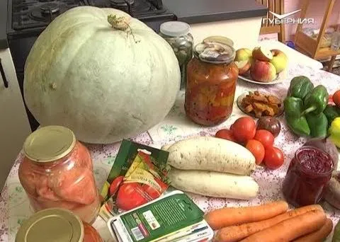 Итоги дачного сезона. Дачные советы