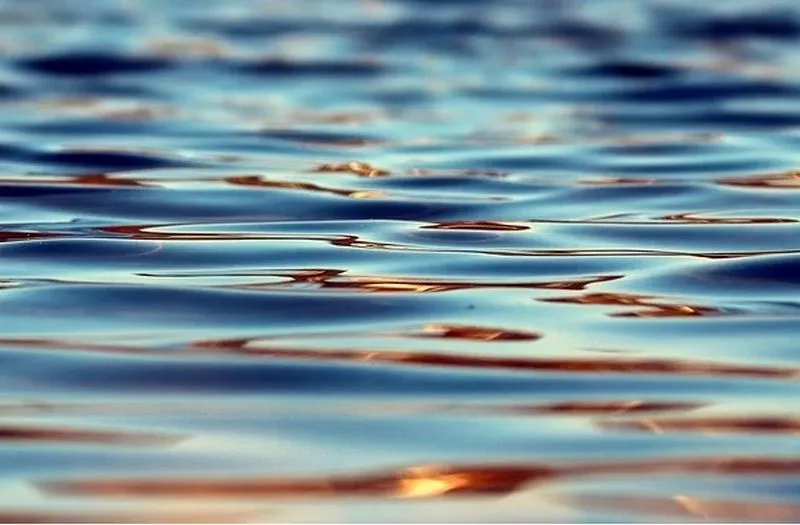 В Хворостянке начались работы по благоустройству пруда 