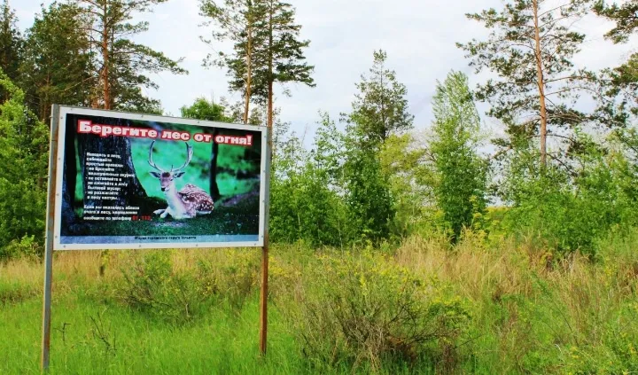 В Тольятти особый противопожарный режим начнется в середине апреля